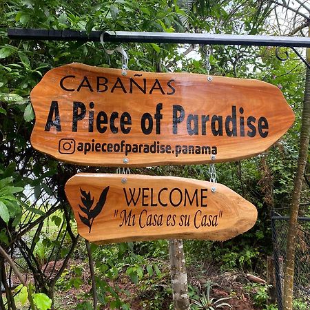 A Piece Of Paradise 산 카를로스 외부 사진