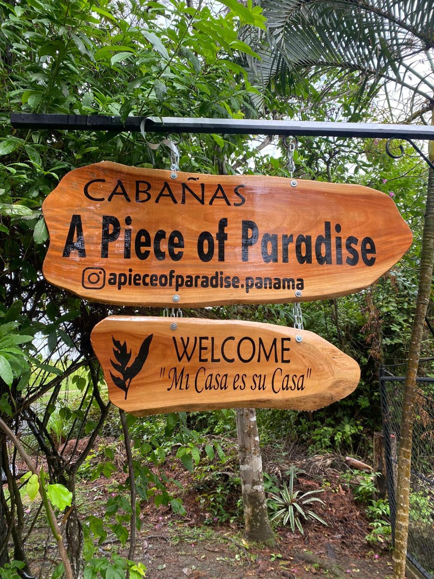 A Piece Of Paradise 산 카를로스 외부 사진